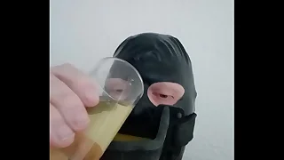 Homo slaaf drinkt pis uit urinaal gag